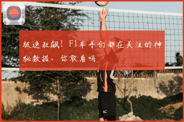 极速狂飙！F1车手们都在关注的神秘数据，你敢看吗